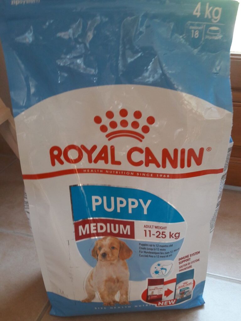 Dog - Pet food