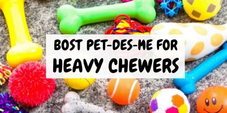 Durable pet toys for heavy chewers on a surface.