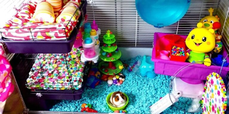 Cozy small pet cage with bedding and colorful toys.